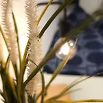 Apartamento Pohl *