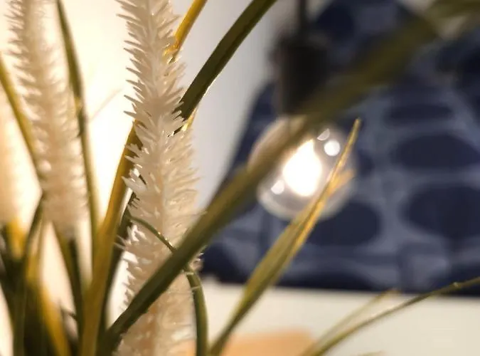 Апартаменты Pohl *